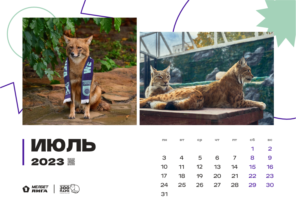 Хищные животные. Календарь года с животными. Звери 2023. 2023 Год животное.
