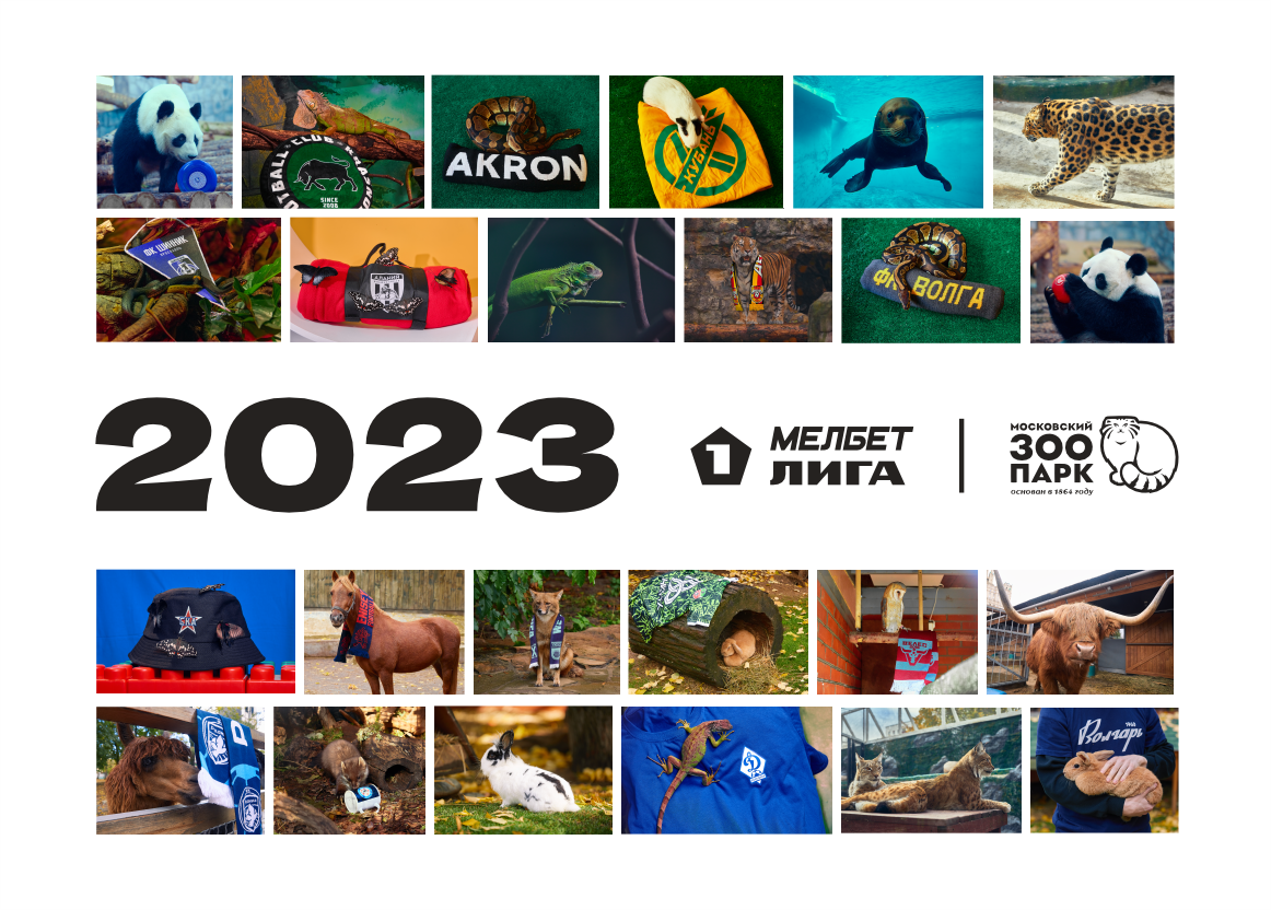 Календарь МЕЛБЕТ-Первой лиги с животными Московского зоопарка на 2023 год